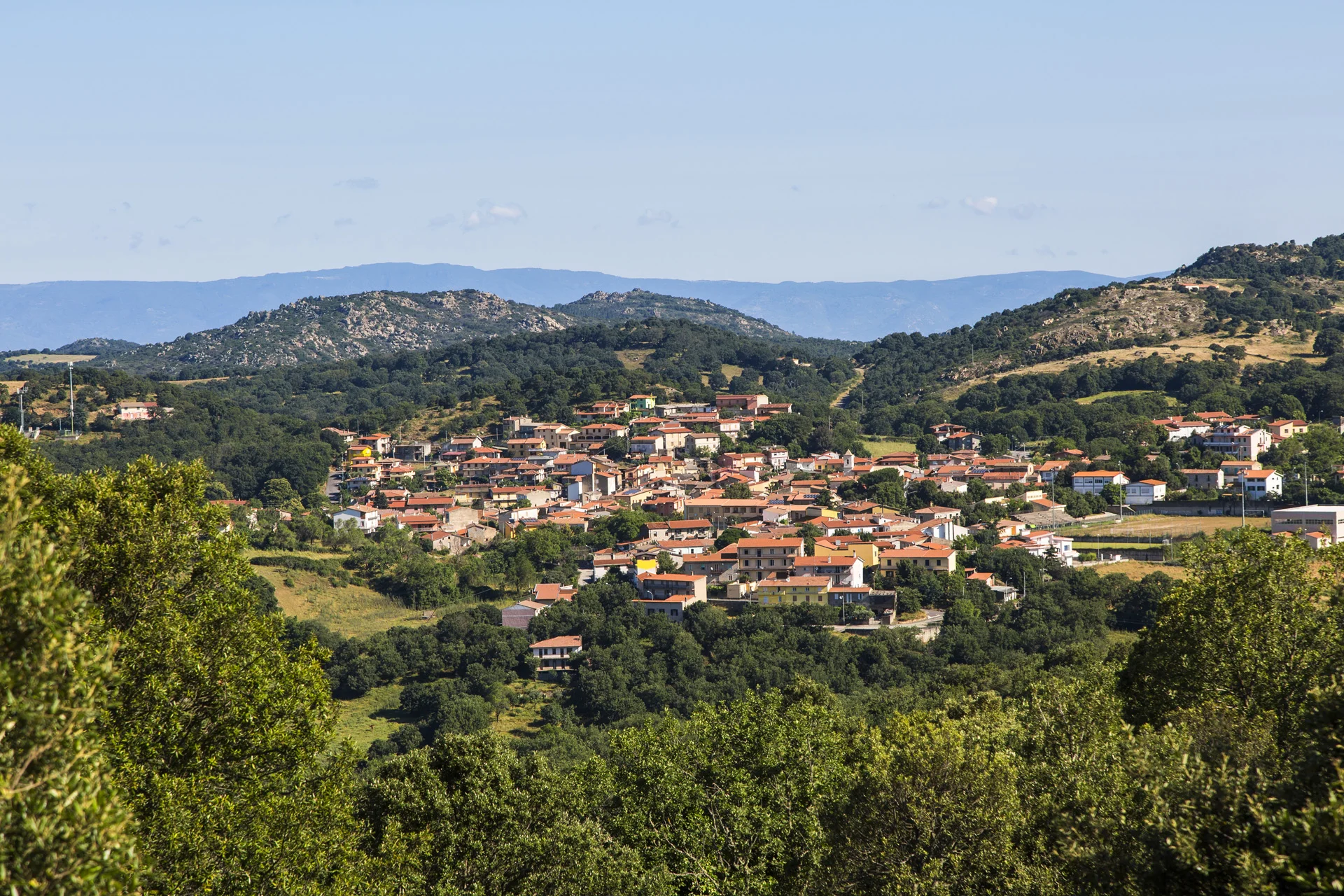 Comune di Austis