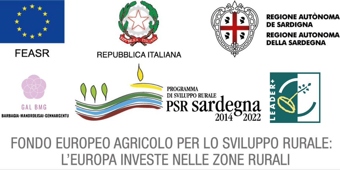 Gal Barbagia Mandrolisai Gennargentu - Programma di Sviluppo Rurale Sardegna 2014-2022. Intervento 19.2.7.4.4.1.1 Sostegno ai servizi di base a livello locale per la popolazione rurale. CUP: E49F25006870005