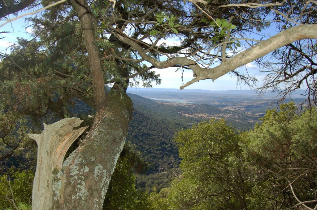 Austis Visto da Pietro Fadda