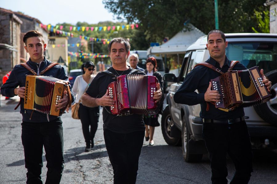 Cortes Apertas 2017