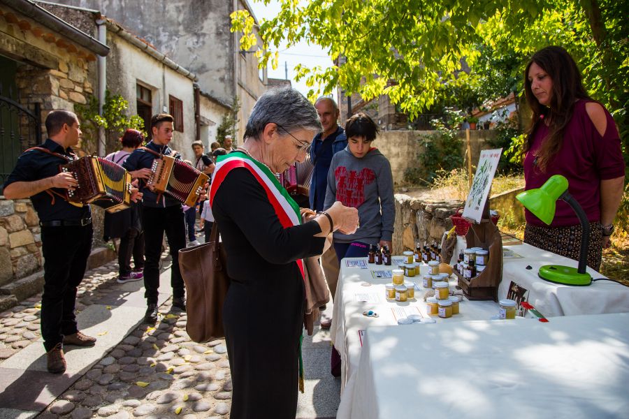 Cortes Apertas 2017