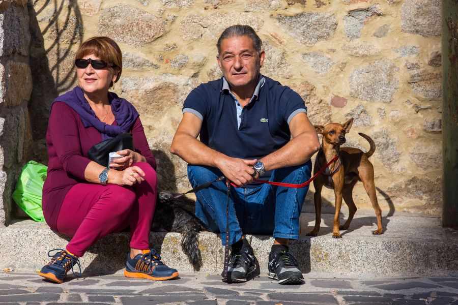Cortes Apertas 2017