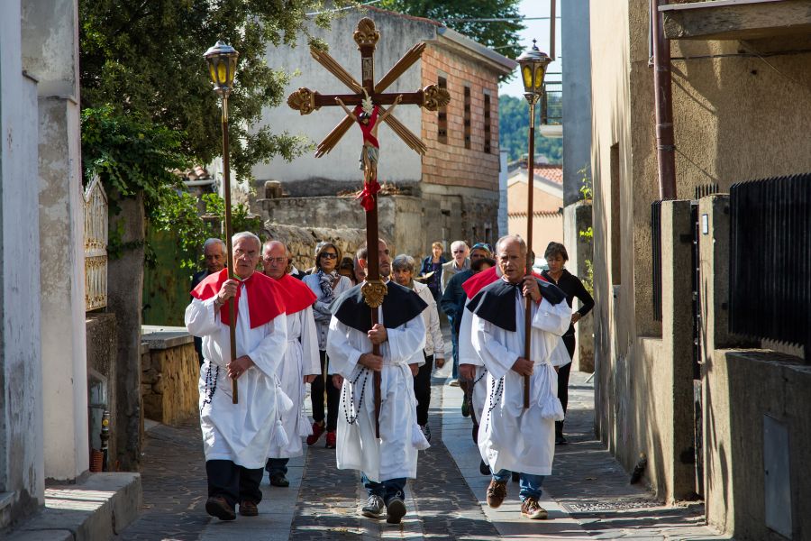 Cortes Apertas 2017