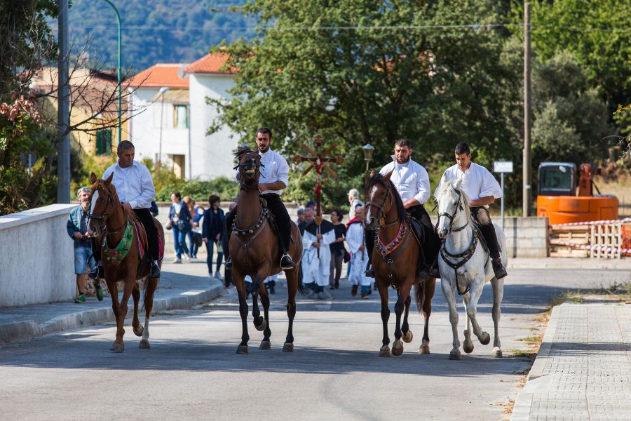 Cortes Apertas 2017