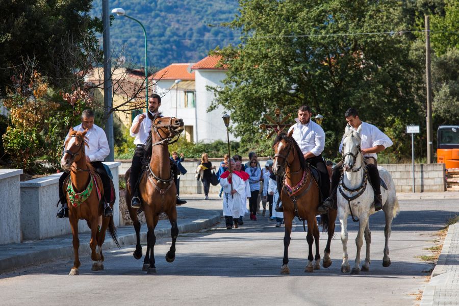 Cortes Apertas 2017