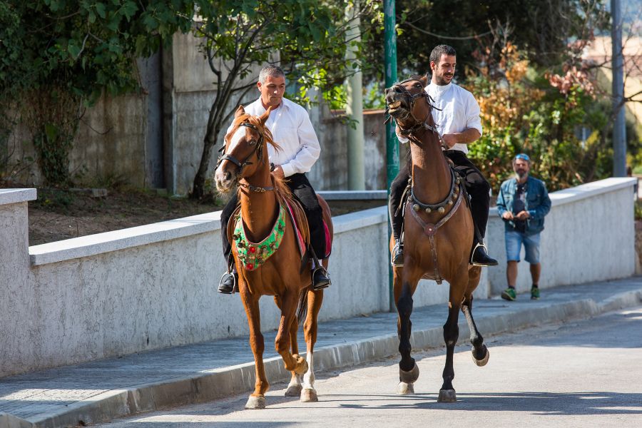 Cortes Apertas 2017