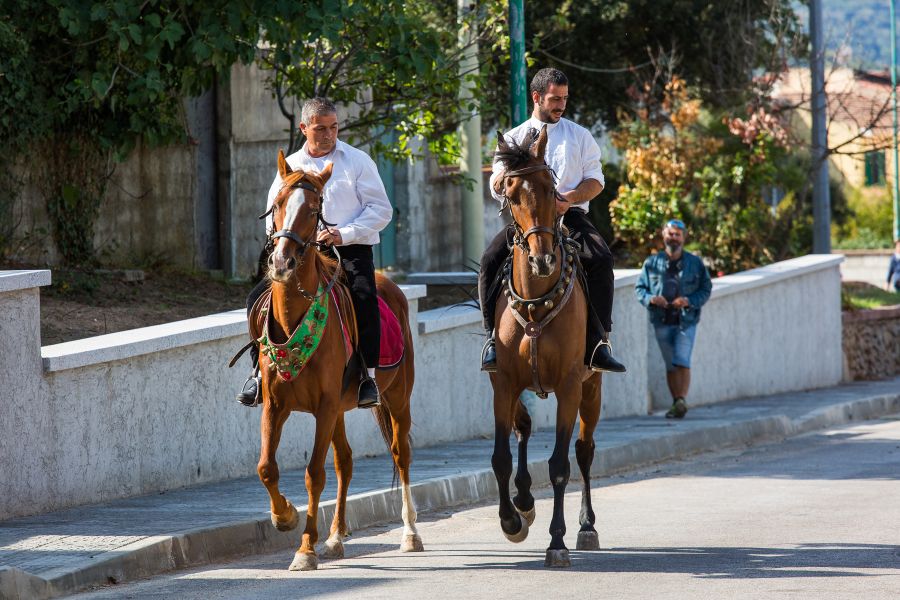 Cortes Apertas 2017