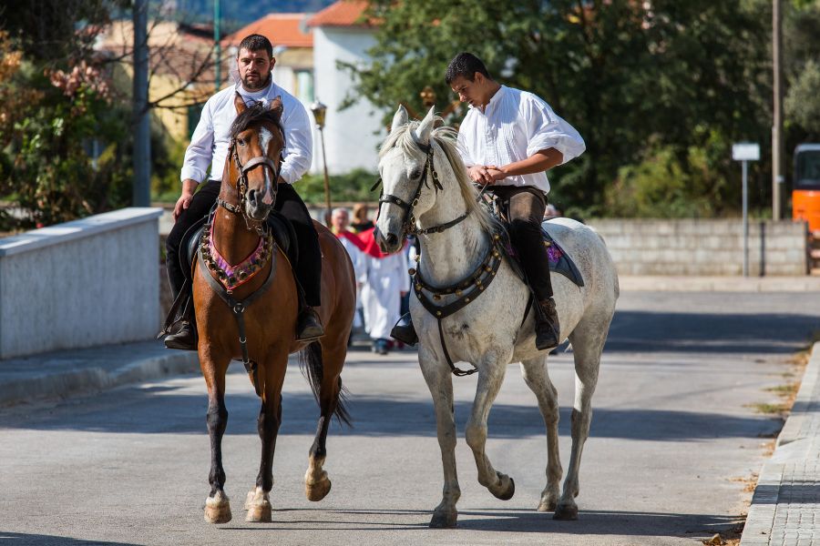 Cortes Apertas 2017