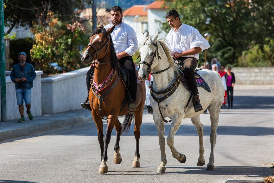 Cortes Apertas 2017