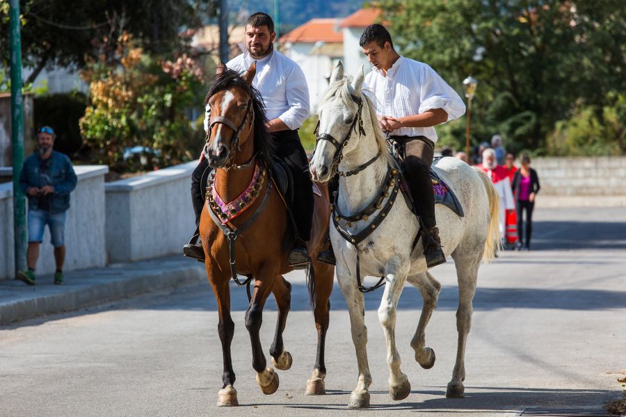 Cortes Apertas 2017