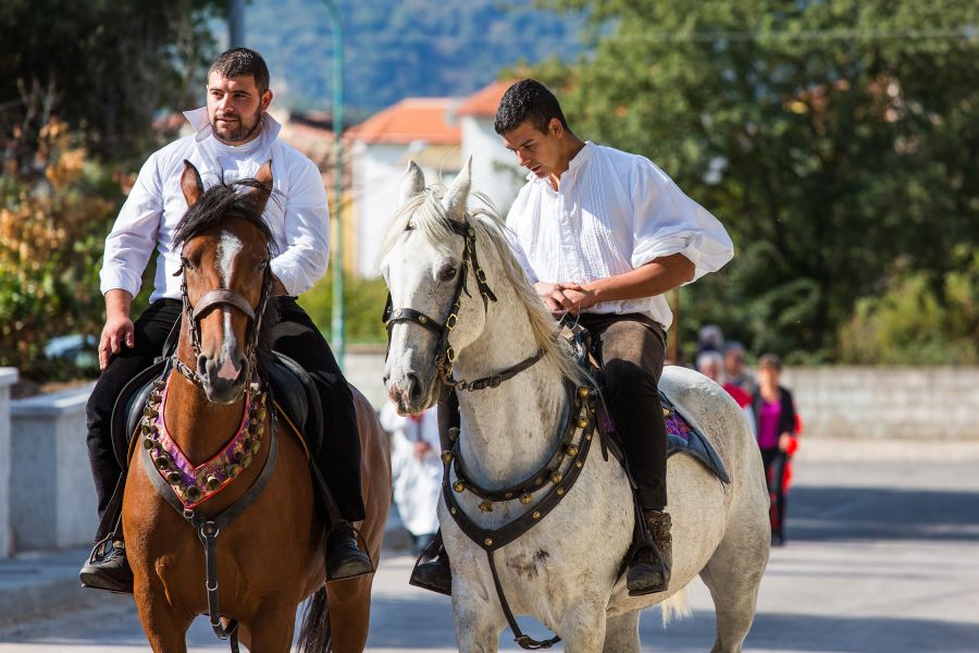 Cortes Apertas 2017