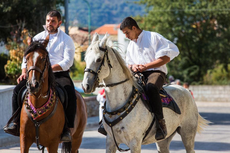 Cortes Apertas 2017