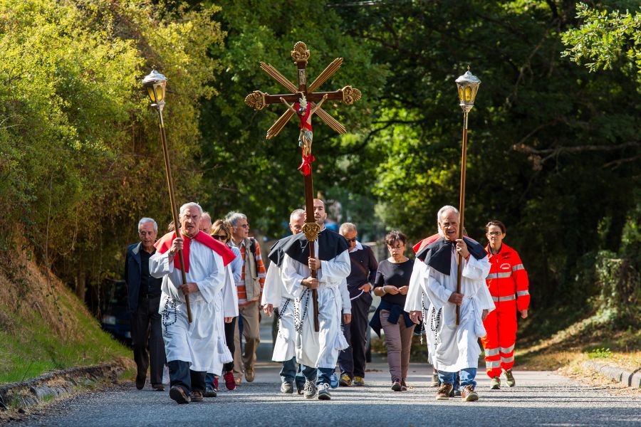 Cortes Apertas 2017