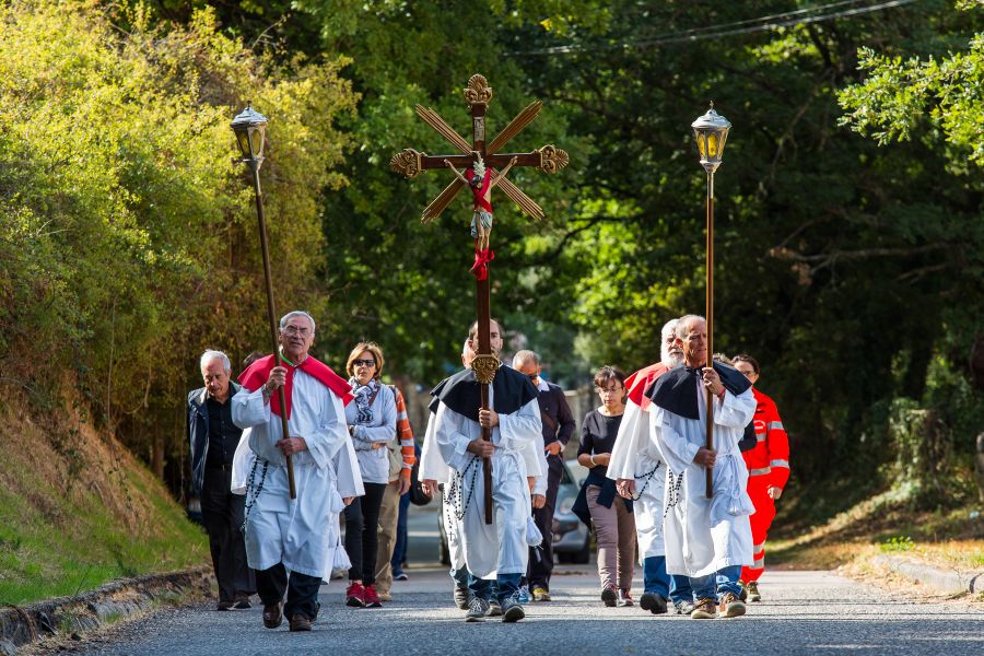 Cortes Apertas 2017