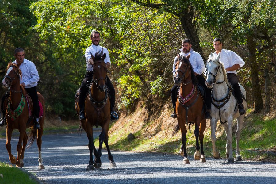 Cortes Apertas 2017