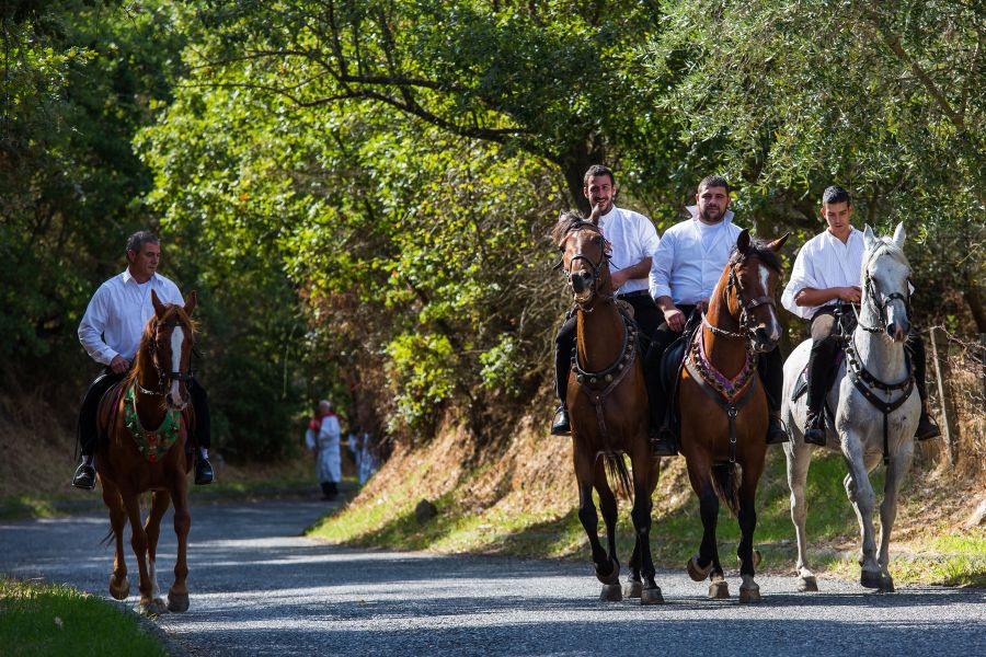 Cortes Apertas 2017