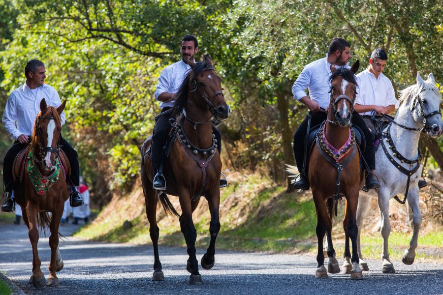 Cortes Apertas 2017