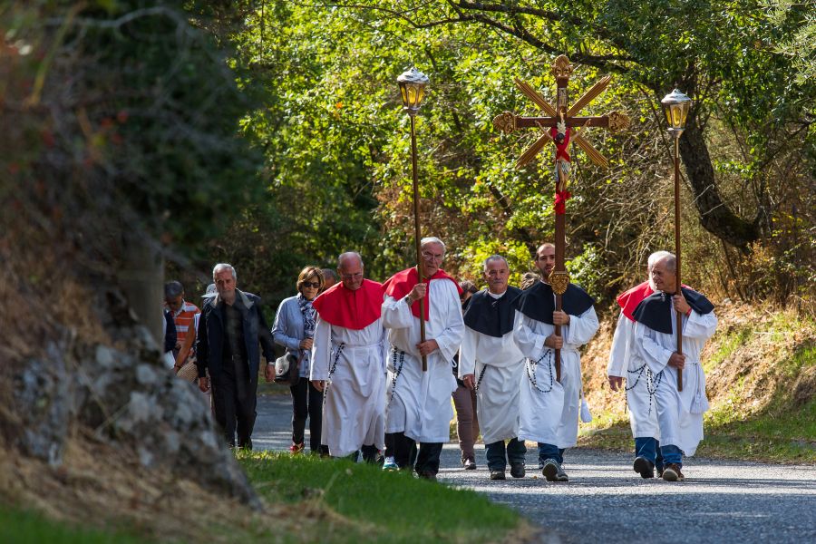 Cortes Apertas 2017