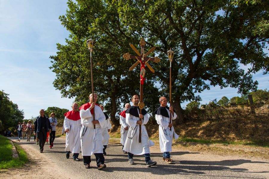 Cortes Apertas 2017