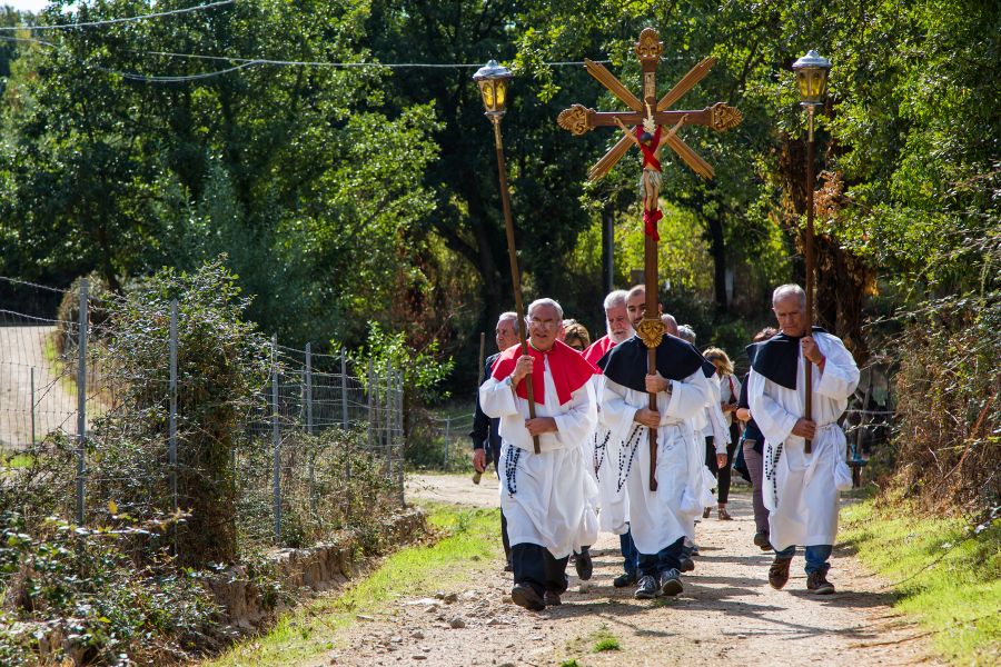 Cortes Apertas 2017