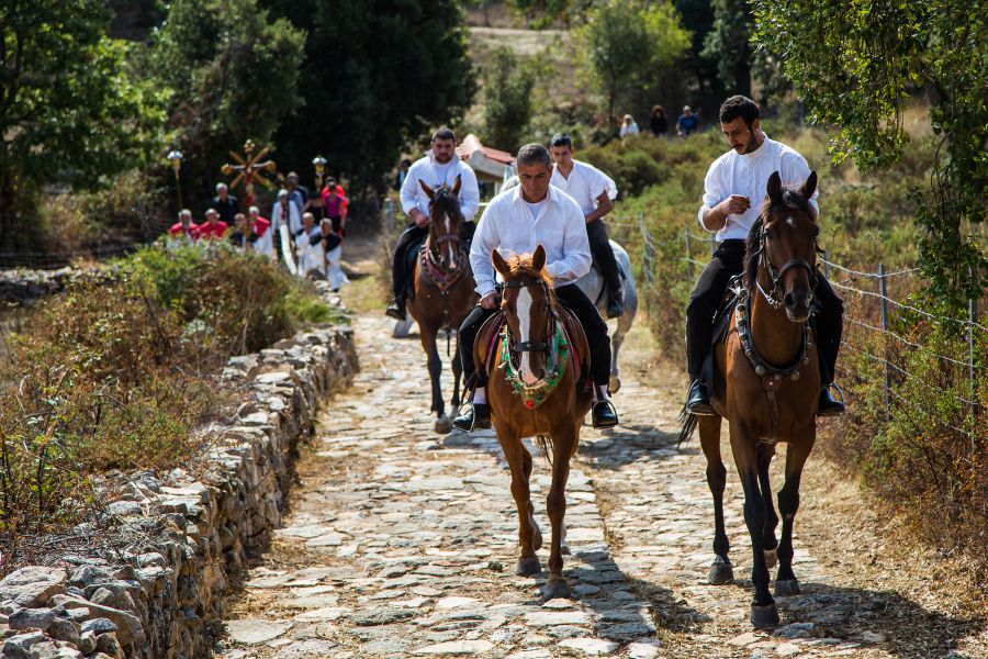 Cortes Apertas 2017