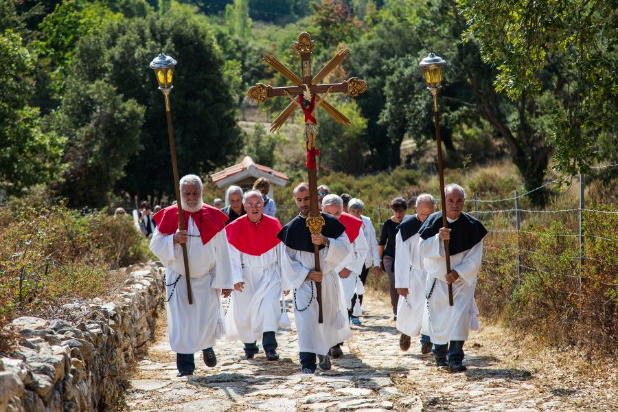 Cortes Apertas 2017