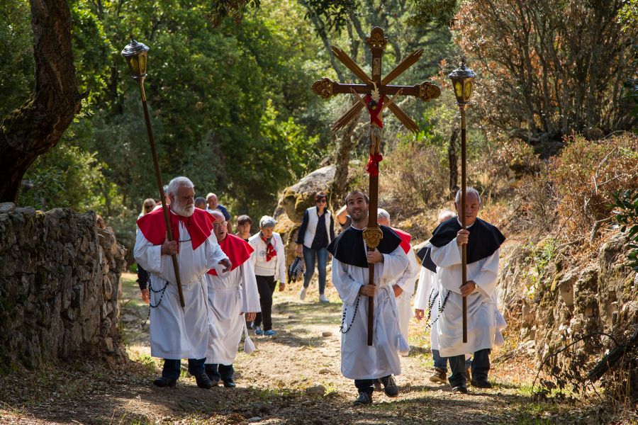 Cortes Apertas 2017