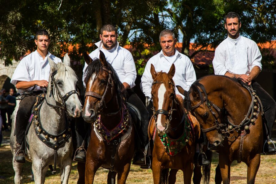 Cortes Apertas 2017