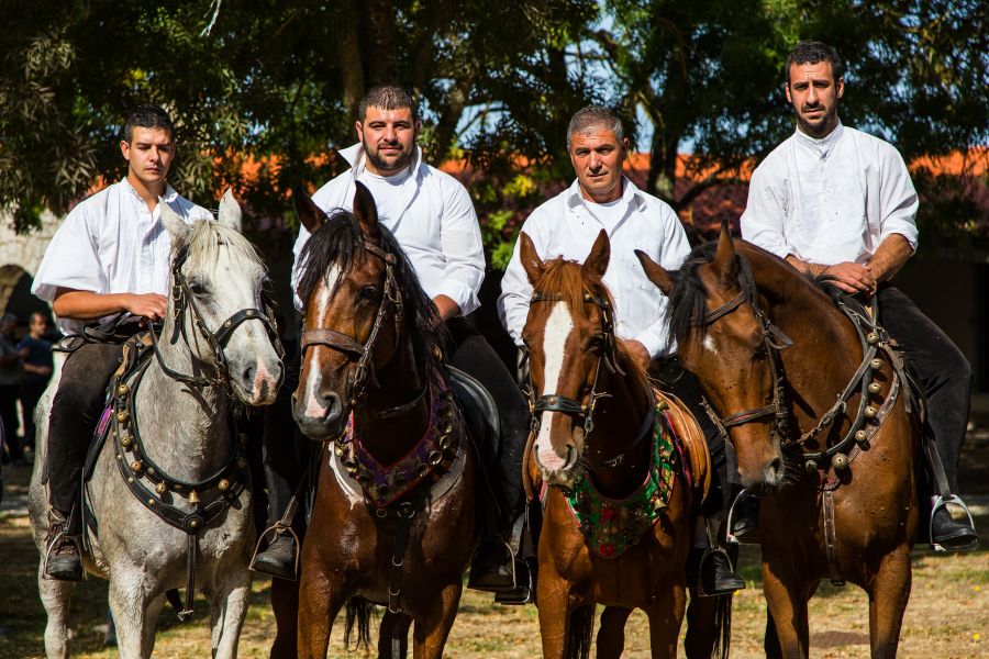 Cortes Apertas 2017