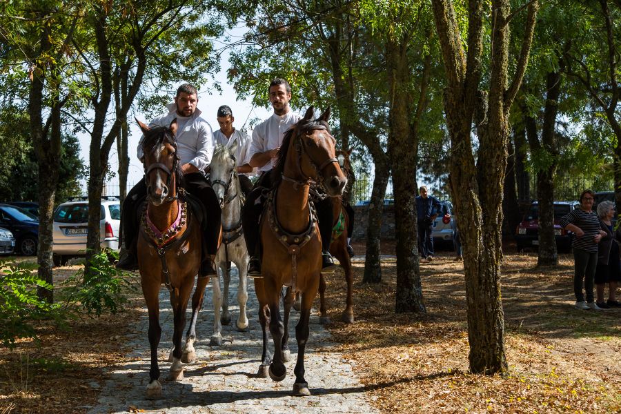 Cortes Apertas 2017