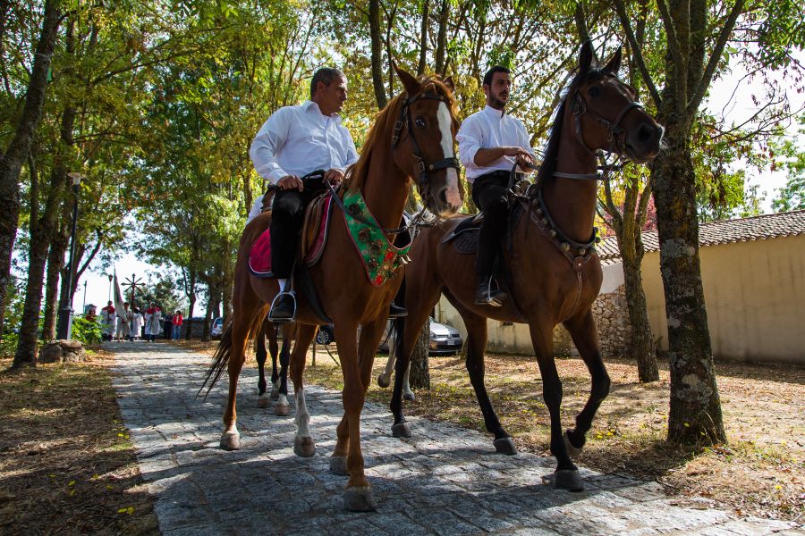 Cortes Apertas 2017