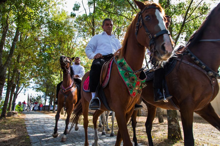 Cortes Apertas 2017