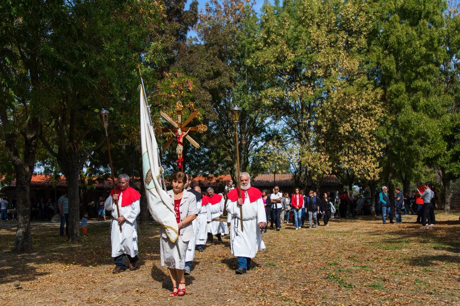 Cortes Apertas 2017