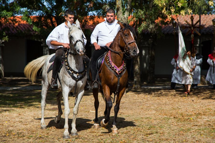 Cortes Apertas 2017