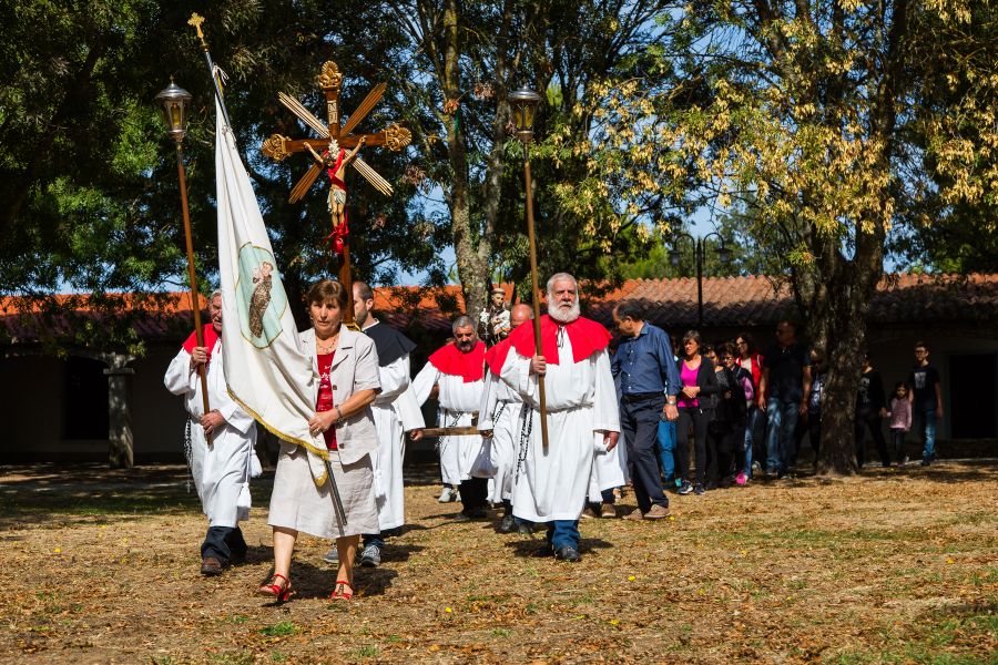 Cortes Apertas 2017