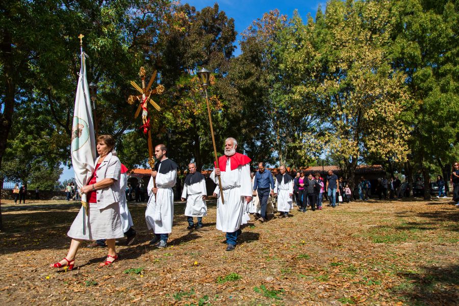 Cortes Apertas 2017