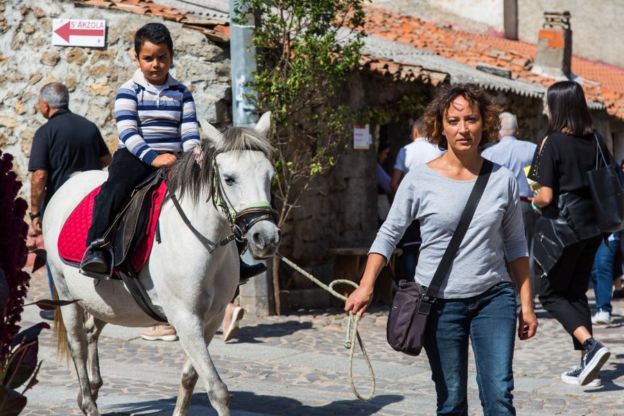 Cortes Apertas 2017