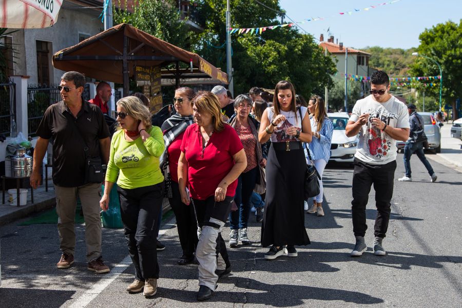 Cortes Apertas 2017