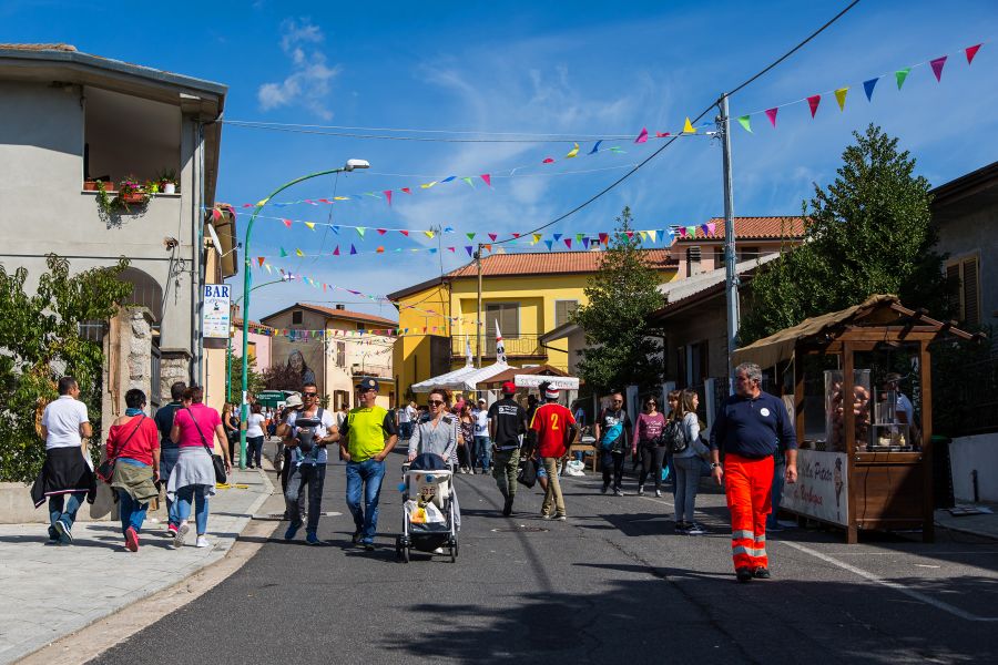 Cortes Apertas 2017