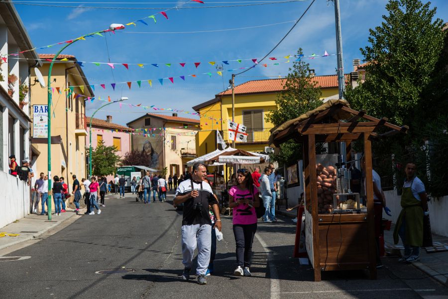 Cortes Apertas 2017