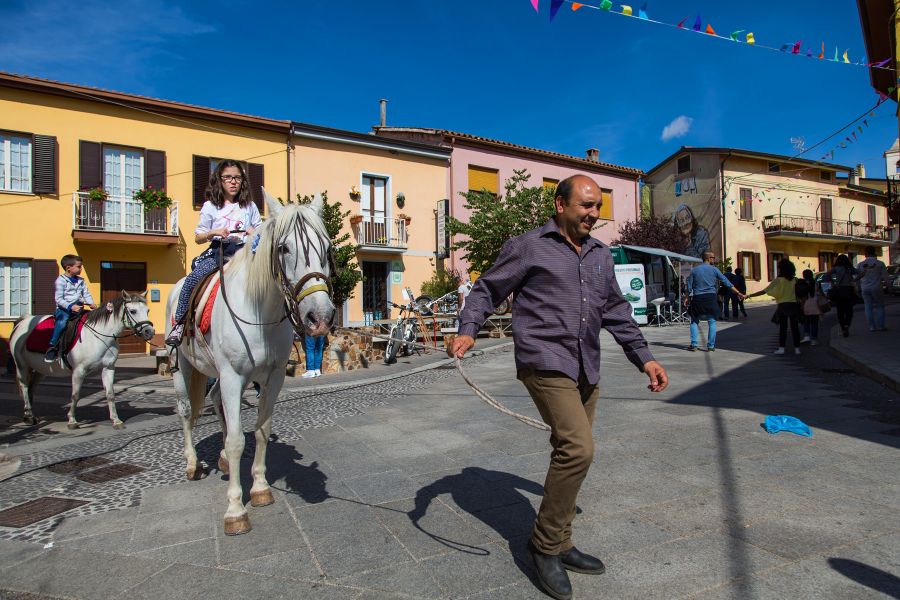 Cortes Apertas 2017