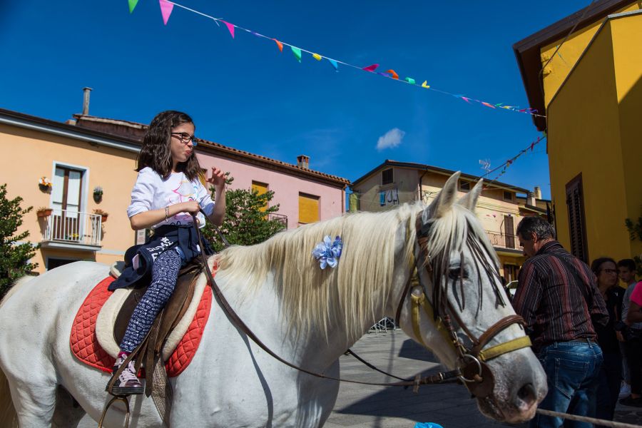 Cortes Apertas 2017