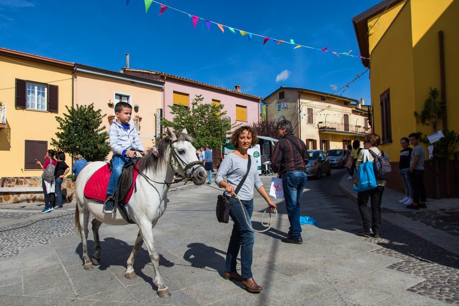 Cortes Apertas 2017