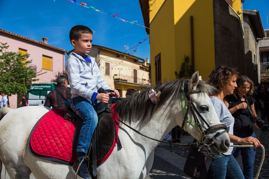 Cortes Apertas 2017