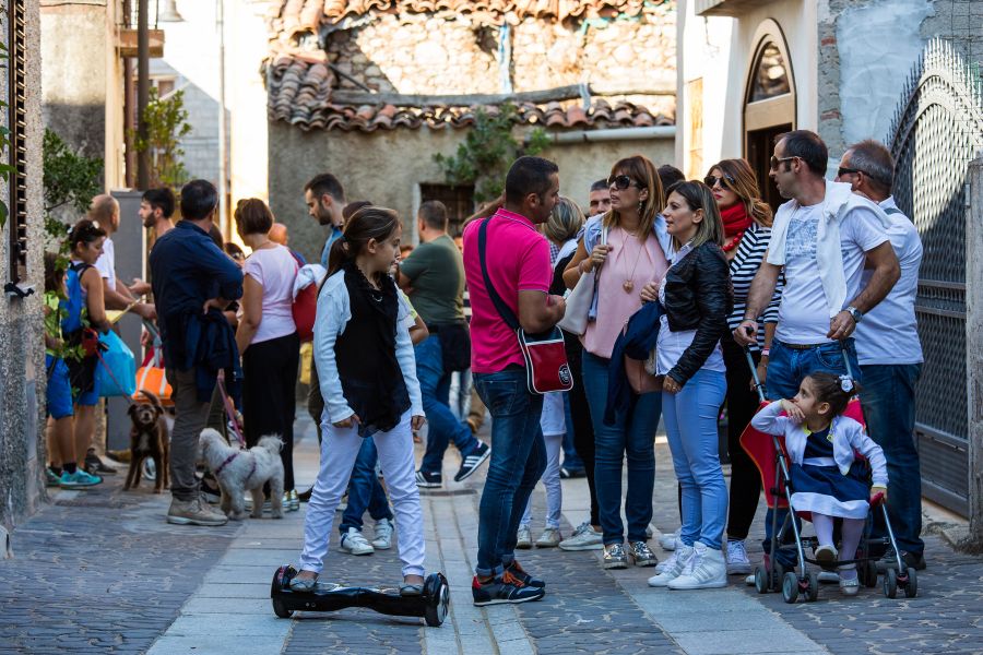 Cortes Apertas 2017