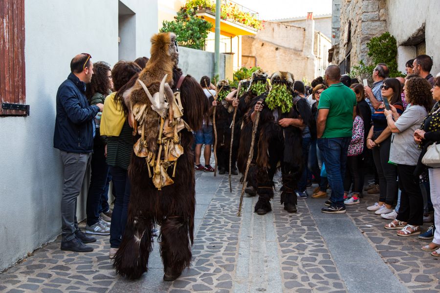 Cortes Apertas 2017