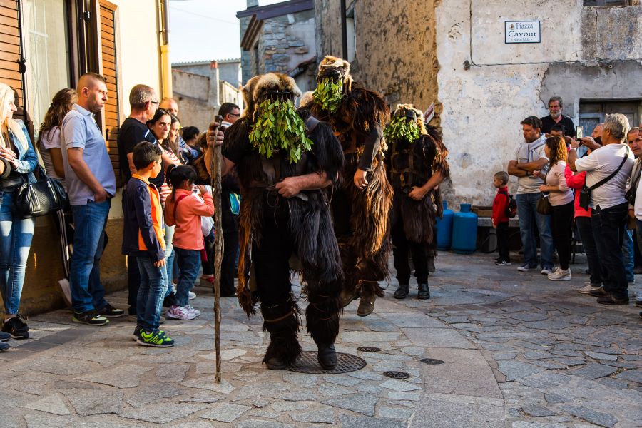 Cortes Apertas 2017