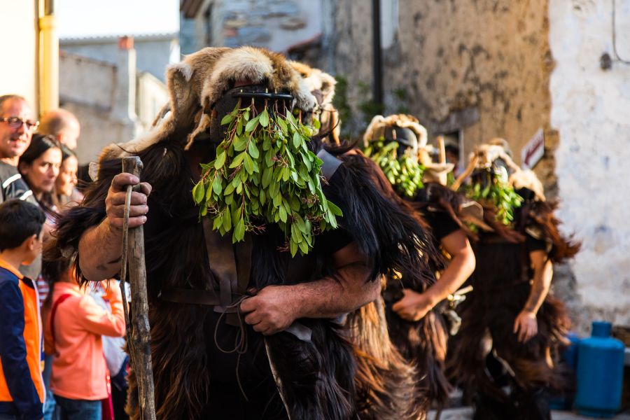 Cortes Apertas 2017