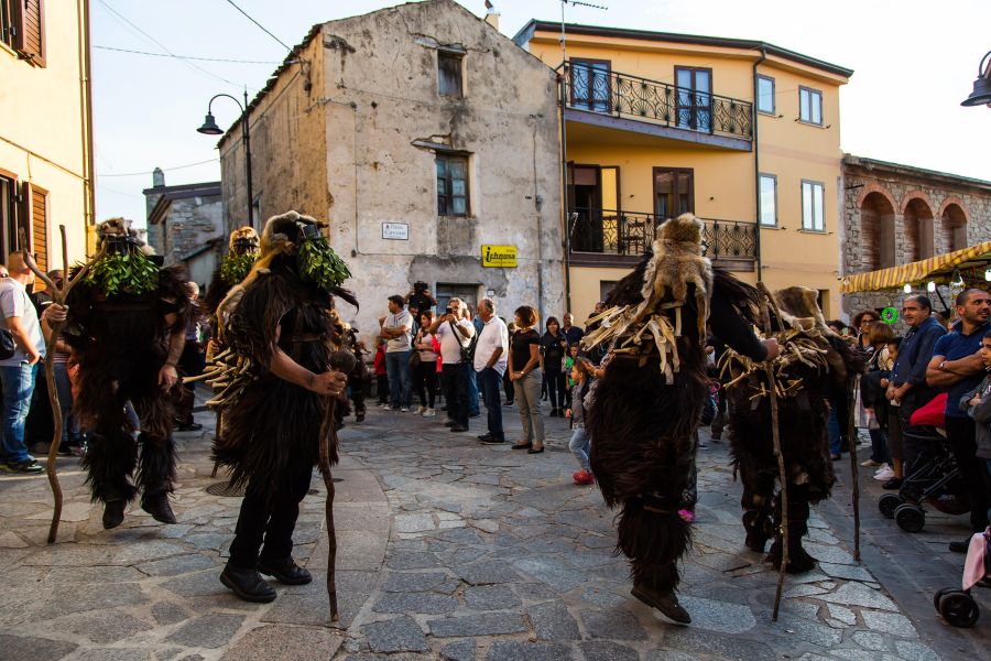Cortes Apertas 2017