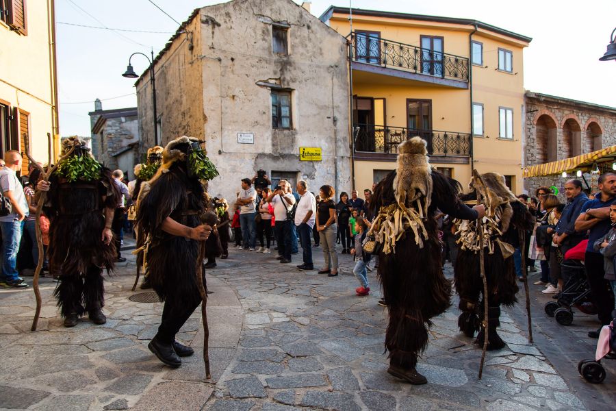 Cortes Apertas 2017